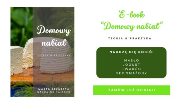 ebook poradnik domowy nabiał jak zrobić nabiał w domu przepisy