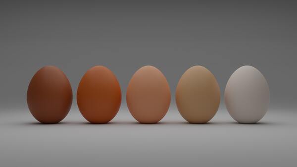 które jajka kupować jakie jajka wybrać