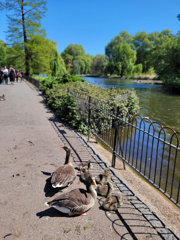 St. James’s Park london