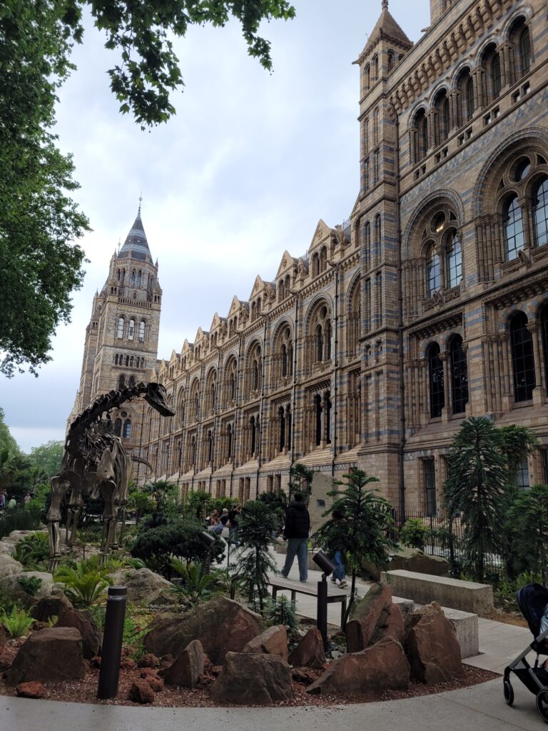 muzea w londynie muzeum historii naturalnej